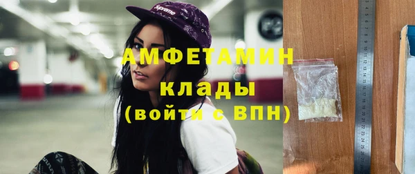 индика Алексин