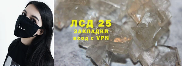 индика Алексин