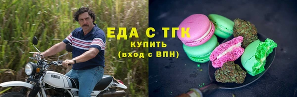 индика Алексин