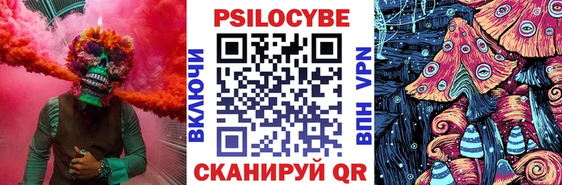 Псилоцибиновые грибы Psilocybe наркота Сосенский